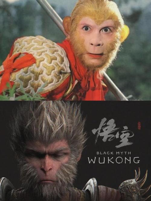 我要看孙悟空在线视频,在线重温齐天大圣的奇幻冒险