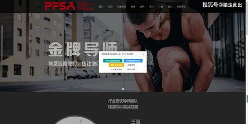 91re在线视频,揭秘热门视频平台的魅力与挑战