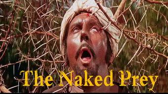 在线视频 致命捕猎,一场惊心动魄的人与自然较量