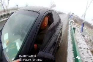 亳州交警在线视频办,在线视频办业务便捷高效