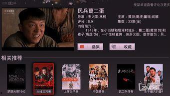 狐狸视频免费版在线视频