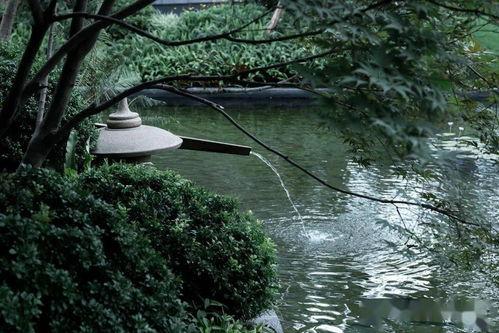 山外山在线视频