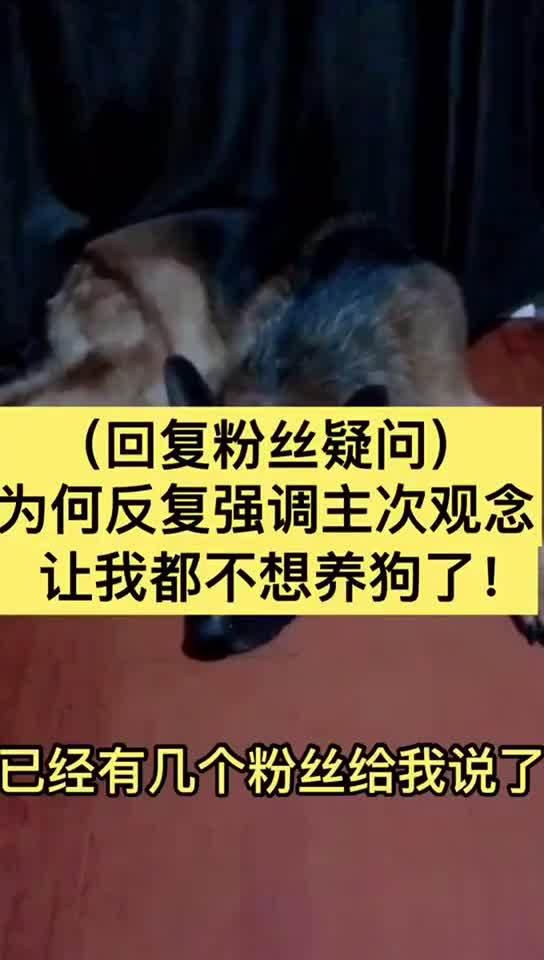 调教犬奴在线视频播放