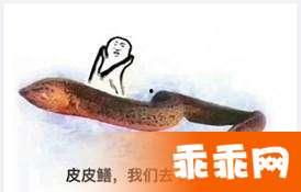 皮皮鳝在线视频,揭秘水下精灵的奇幻世界