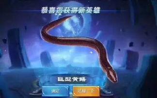 皮皮鳝在线视频,揭秘水下精灵的奇幻世界