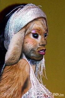 cijilutv人兽在线视频,揭秘网络暗流涌动的伦理边界